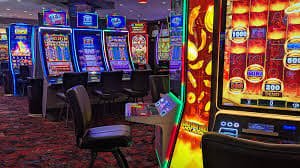 bet win