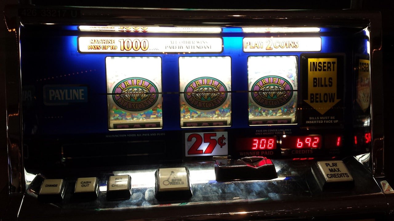 bet win